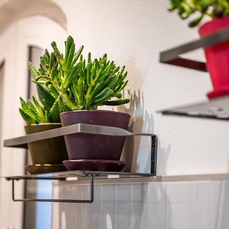 La Regia Apartment Cuneo Kültér fotó